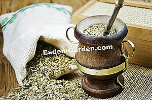 Los Beneficios De La Arcilla 🌿 Todo Sobre Jardinería Y Diseño De Jardines - 2025