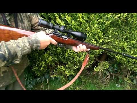 Brno581 semi auto .22