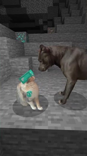 Gato Diamante vs Pitbull (MINECRAFT) #minecraft #twitch #stream #juegos #clips #funny #cat
