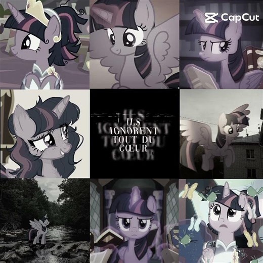 i love you twilight please fyp #mlp