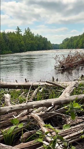 Relaxing Tahquamenon River at Tahquamenon Falls State Park, Paradise, MI