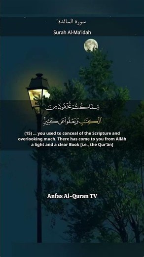 Surah Al-Ma'idah Ayah 15 Beautiful Recitation #qurantilawat #quranrecitation #trending #shortsfeed