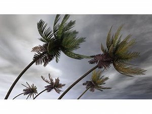 Hang Onto Your Hat, Oceanside-Camp Pendleton: Here Is Weekend Forecast