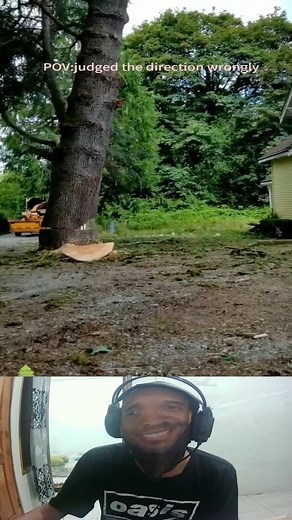 6.7K views · 34 reactions | Tree felling failed  #treefelling #trees | Bill Stuck | Facebook