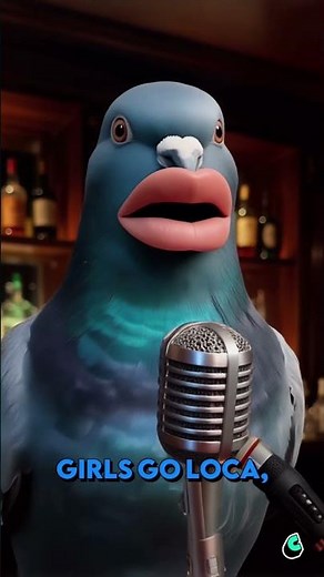 All the girls go Loca #ai #pigeon #funny #sing #loca #shorts #microphone