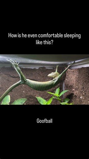 Error 404: Logic not found (Vol. 20) #shorts