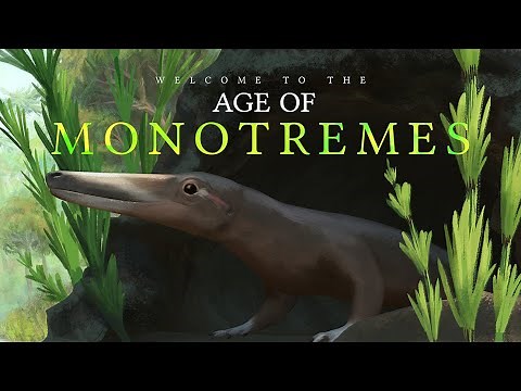 Welcome to the Age of Monotremes (Speculative Evolution Show Pitch)