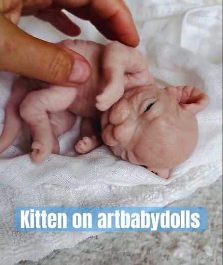 Realistic Mini Silicone Kitten Tiny Cat Doll You’ll Fall in Love With 💖 #SiliconeKitten