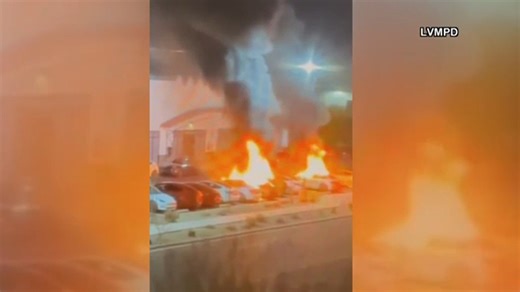 Attorney general calls Tesla arson attacks 'nothing short of domestic terrorism'