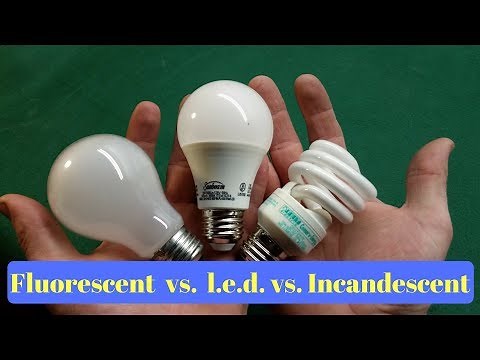 Fluorescent vs. L.E.D. vs. Incandescent Light Bulbs