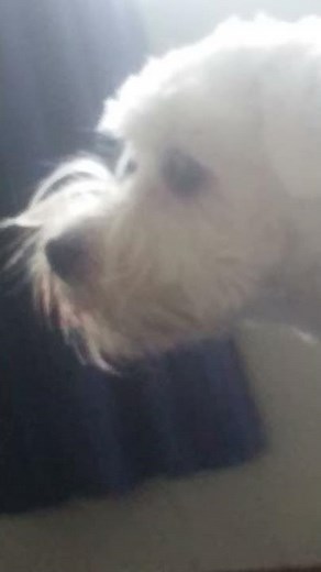 Freddie is a crazy boi