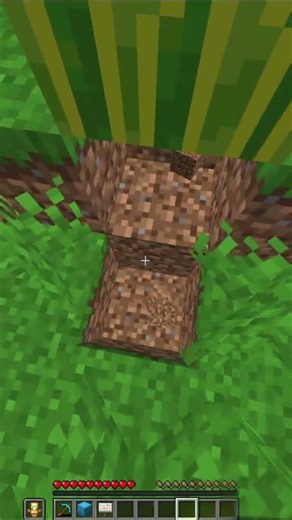 Hiding shulker boxes of loot for you to find on the donut smp part 13 #donutsmp #minecraft #fyp