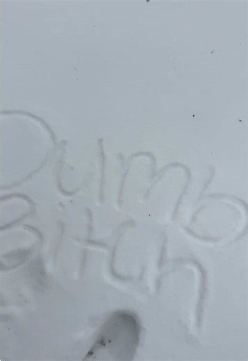 Wrote your name in the snow❄️🌨️🥰❤️ #nameinsnow #dmvsnow #snowstorm2026 #snowedin #fyp