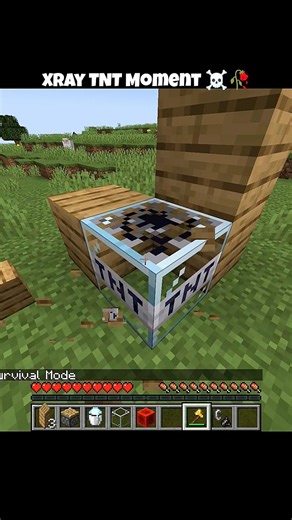 Minecraft X-ray TNT 🤯💀 (No Mod) #minecraft