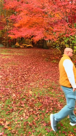 Chan Gemini Battambang on Reels