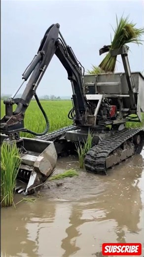 Rice Crop Cutting Robotic Machine #agtech #farming #technology agr #automobile #weedingrobot