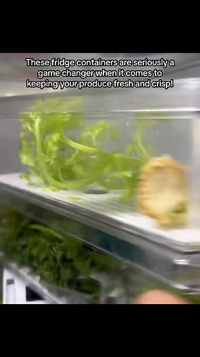 Love love love my fridge containers! Its truly amazong how longer the produce lasts! Highly recommend!💯👌🏽 . . . #musthaves #kitchenproducts #fridge #fridgeorganization #organizedfridge #fridgegoals #productsthatwork #organize #organization #kitchenorganization #organizedkitchen #fresh #longlaster #gamechanger #fyp #foryou