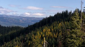 A living lab approach to forest restoration