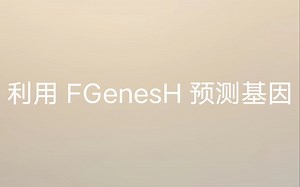 利用 FGenesH 预测基因