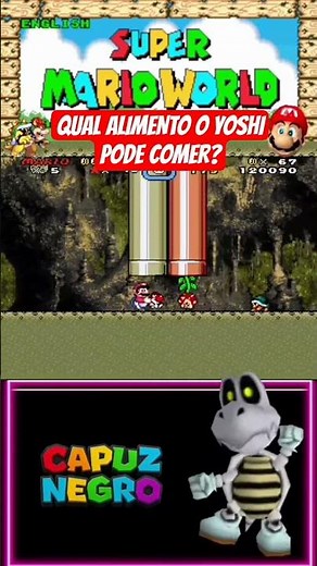 What foods can Yoshi eat in Super Mario World? These are the foods.