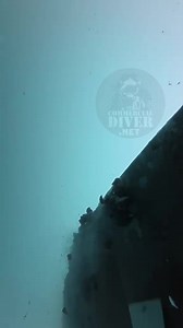 69K views · 966 reactions | Commercial diver #dimasdiver let's clean a hull what tools would you use樂樂"scraper" best ... commercialdiver.net #store Toolboxtalk | Therussian | Facebook