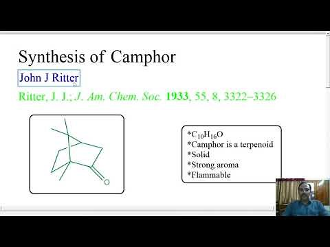 Synthesis of Camphor