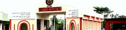 Dibrugarh University Departments and Schools
