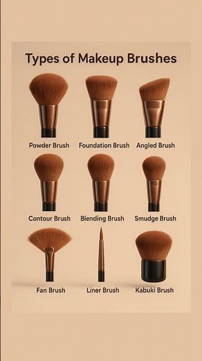 Makeup Brush Guide: Powder, Foundation, Contour, Blending & More