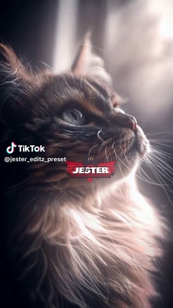 Dora Preset Editing Guide Under 5MB