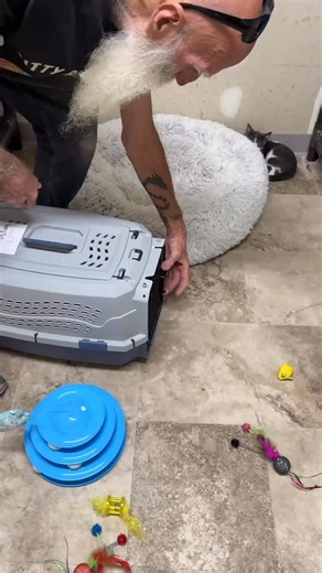 David Loop on Instagram: "Bartok update, he got released from the hospital today so we reunited him with his mom and siblings. He doesn’t have any broken bones but I do have to express his bladder, I’m hopeful he will regain function. Thank you for your support #davidloop65 #cat #catlife #catlover #kitten"