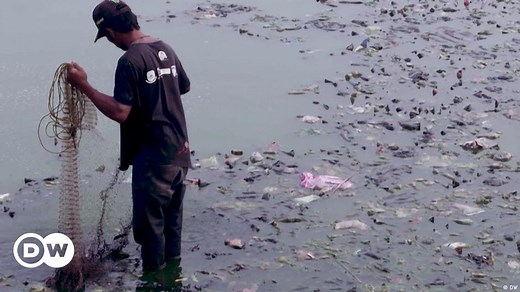 Using nature to clean the Citarum River