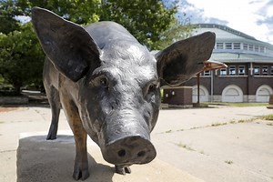 Iowa State Fair announces new food items for 2021