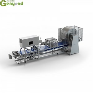 [Hot Item] Samosa Production Line Spring Roll Production Line