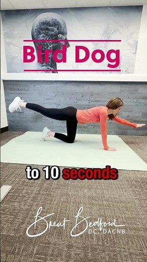 The McGill Bird Dog: Bulletproof Your Spine in 30 Seconds