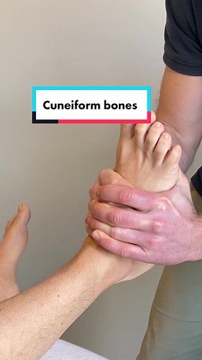 Cuneiform Bones Adjustment for Pain Relief