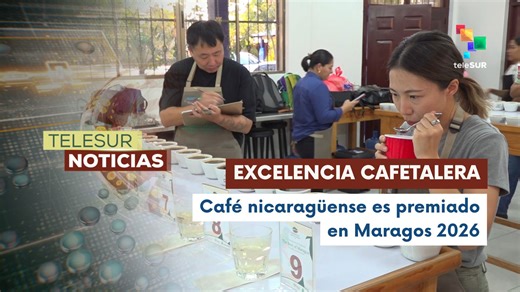 Expertos internacionales evalúan los mejores granos nicaragüenses en Maragos 2026