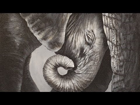 Baby Elephant Black & White Acrylic Painting LIVE Tutorial