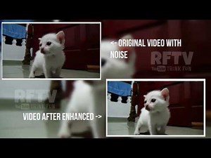 Reduce Video Noise Using Aiseesoft Video Enhancer