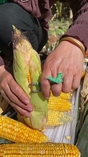 #foodproduction #amazingmachinery #foodbusiness #agriculture #machinerychannel #farm #farmlife