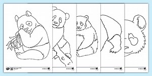 Panda Colouring Pages