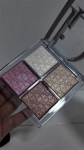 Dior Backstage Palette Review in Shade 001