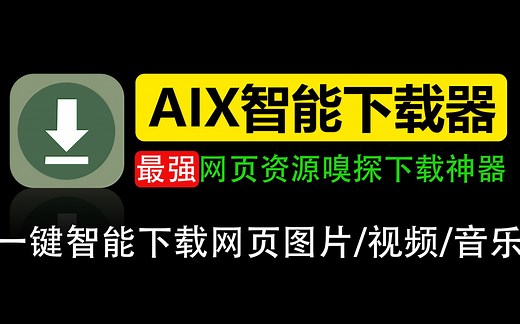 [AIX智能下载器]卧槽，一个插件竟然能下载任何网页的任何资源，我的女神可以永远留在我的硬盘中了！