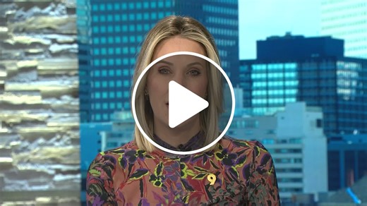 Wildlife officials probe death of gray wolf - NewsBreak