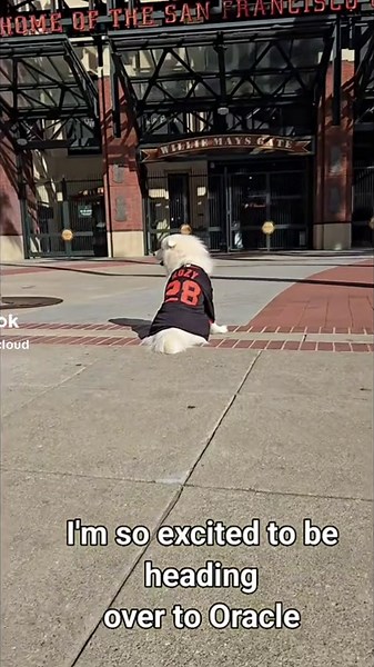 Excited for the Final #sfgiants FanFest Tour Stop!