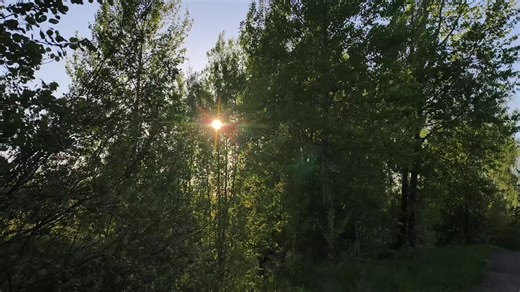 Embracing Aesthetic Nature Vibes of Dawn