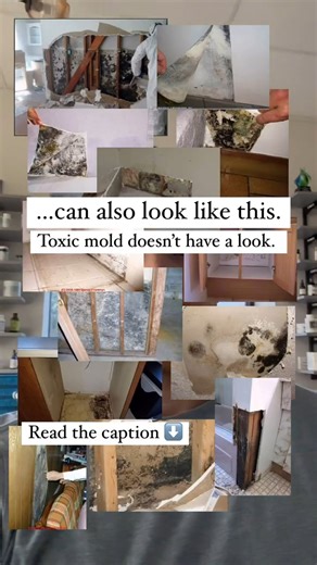 21K views · 121 reactions | You don’t need to see mold to have a mold...