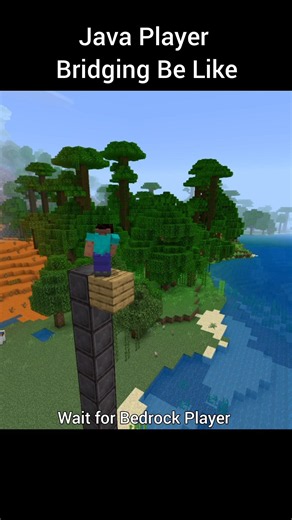 Java VS Bedrock Player