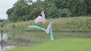 Slow-motion colorful plastic tied to wood to repel plant pests.