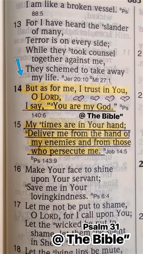 📖 Psalm 29:11 NKJV"The Lord will give strength to His people; The Lord will bless His people with peace." 💛💛💛💛💛💛💛💛💛💛💛💫 #thebible #biblia #bibleverse #bible #biblestudy #biblescripture #bibleverseoftheday #biblereading #biblejournalist #god #jesus #jesuslovesyou #jesussaves #pray #prayer #prayers #biblia #blessed #trustgod #godslove #faith #praying #prayerworks #godsplan #jesuscristo #christian #worldnews #amen | The Bible”