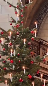 A church in Switzerland lit their Christmas tree in traditional candles. What a beautiful sight. I had not seen what many people were saying about the candles but look at this beautiful reel share. #switzerland #christmastime #Christmas #christmastree #swisschurch #magicalmoments #christmasmagic #traditional | Whispers of the Soul